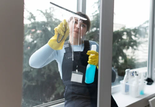 Nettoyage de vitres intérieures et extérieures à Halsou